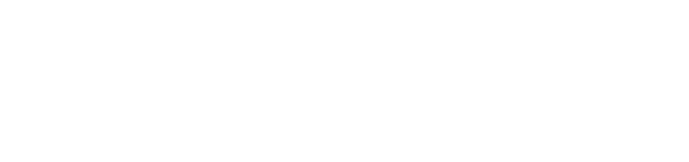 Brownies&downieS logo