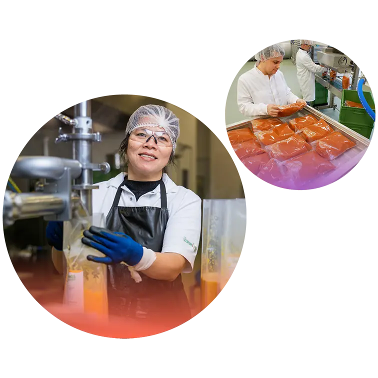 De Verspillingsfabriek, Hutten, Veghel, onbeperkt talent, inpakken, productie De Verspillingsfabriek, Hutten, Veghel, onbeperkt talent, inpakken, productie