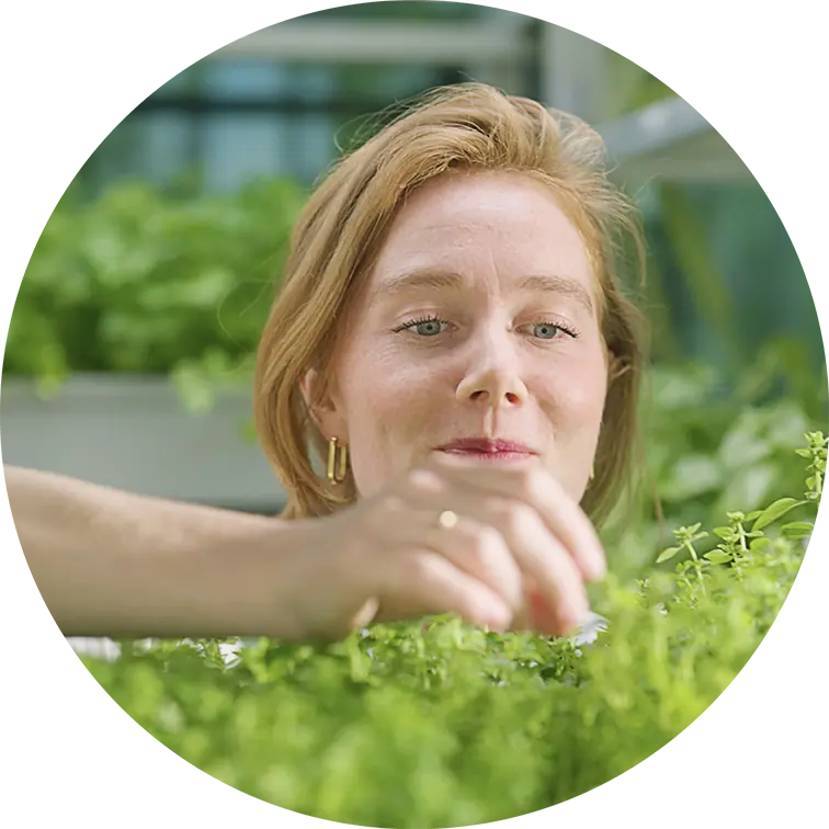 werken in de bediening, horeca vacatures, bediening Hai, horecamedewerker bediening.